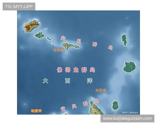 2026年世界杯奥地利与约旦比赛签证申请常见问题及解决方案全攻略